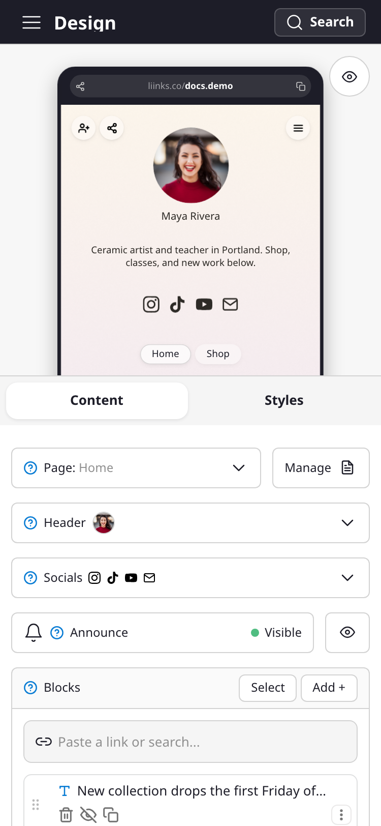 The Liinks editor on a phone: the navigation bar at the top, the profile preview in a frame below it, and the block list underneath